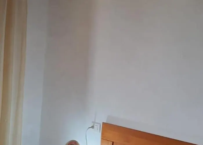 El Cachorro *