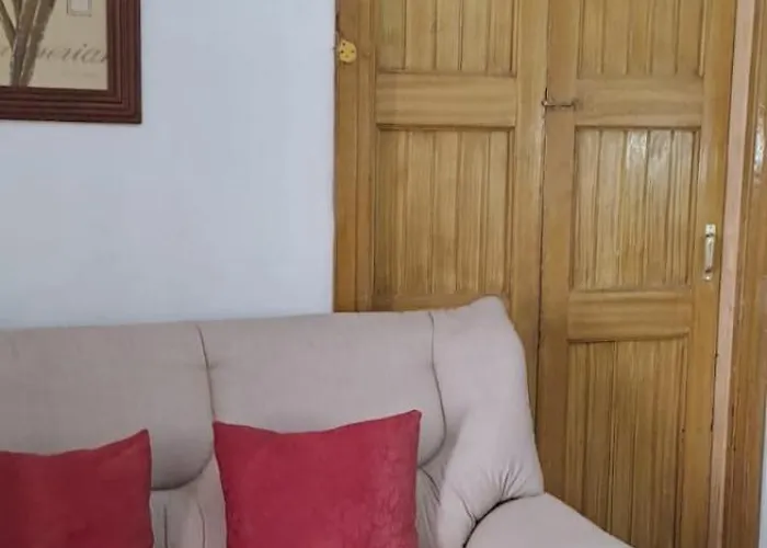 El Cachorro *